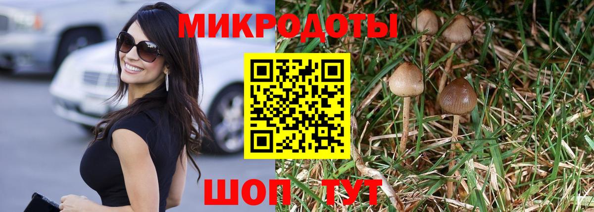 Галлюциногенные грибы мухоморы Еманжелинск