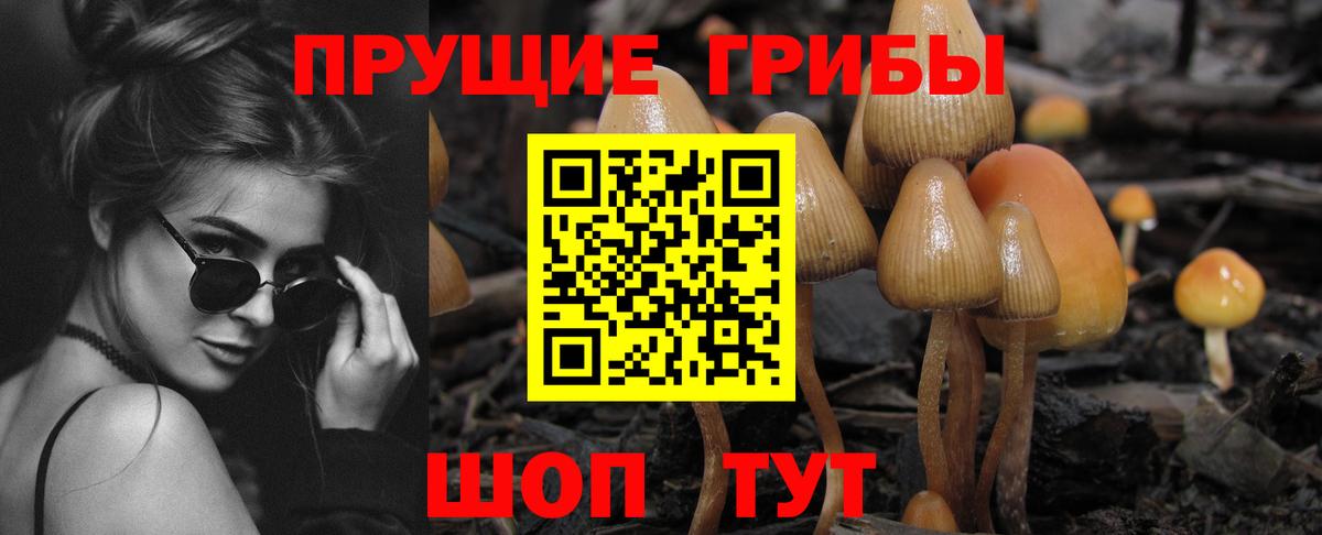 Еманжелинск  Галлюциногенные грибы ЛСД  Вход с VPN 